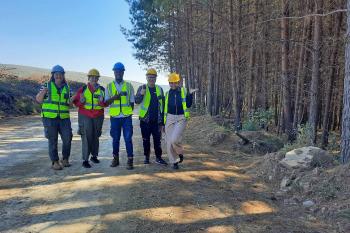 FABI researchers study fungi associated with pine bark beetles in South Africa